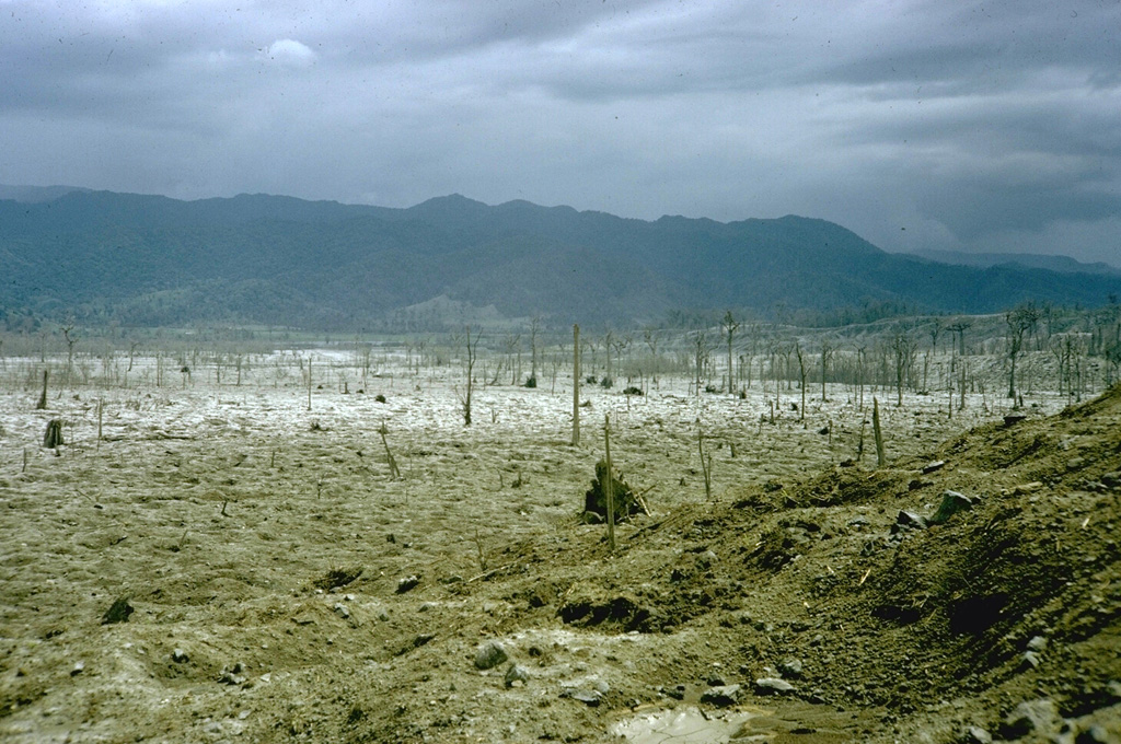 Vegetation stripped and buried across the western flank of Arenal, photographed in November 1968